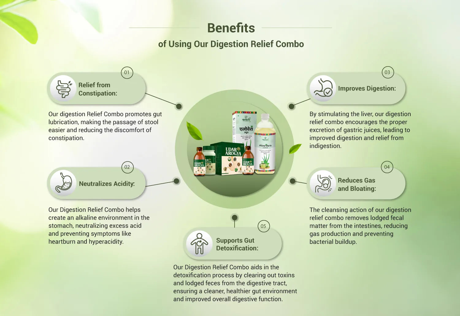 Aloe Vera & Udar Arogya Combo for Gut Health
